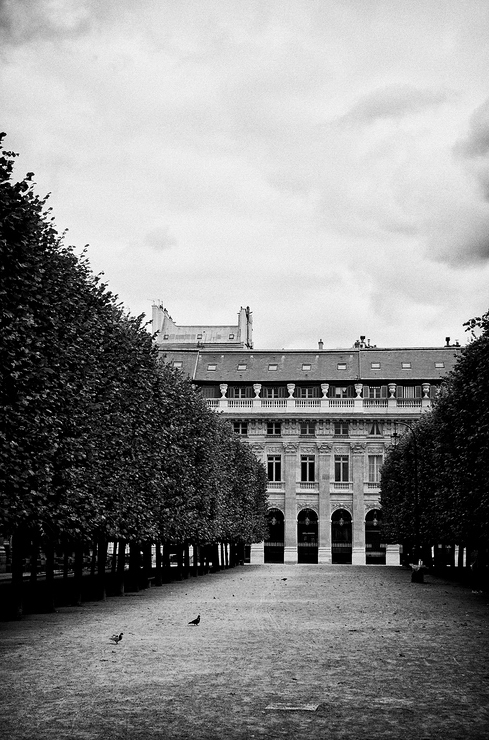 Le jardin du Palais Royal