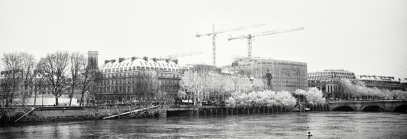 Les grues, la Seine et la neige