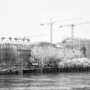 Les grues, la Seine et la neige