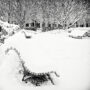 Jardin du Palais-Royal sous la neige / Banc immaculé