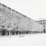 Jardin du Palais-Royal sous la neige / Allée