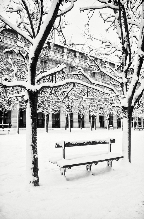 Jardin du Palais-Royal sous la neige / Un banc
