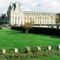 Automne / Jardin des Tuileries