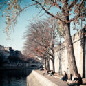 L’automne en bord de Seine