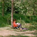 Lire au calme sous un arbre