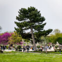 Jardin des Tuileries